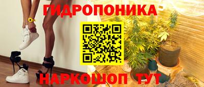 соль ск Бийск