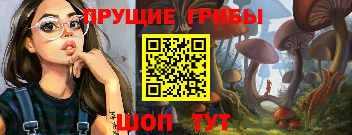 Зерноград  Псилоцибиновые грибы мицелий  Псилоцибиновые грибы прущие грибы  Вход с VPN 
